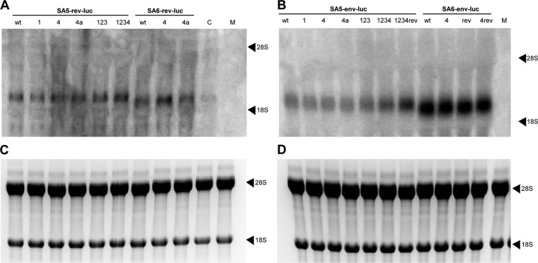 Fig 5