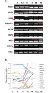 Fig 5