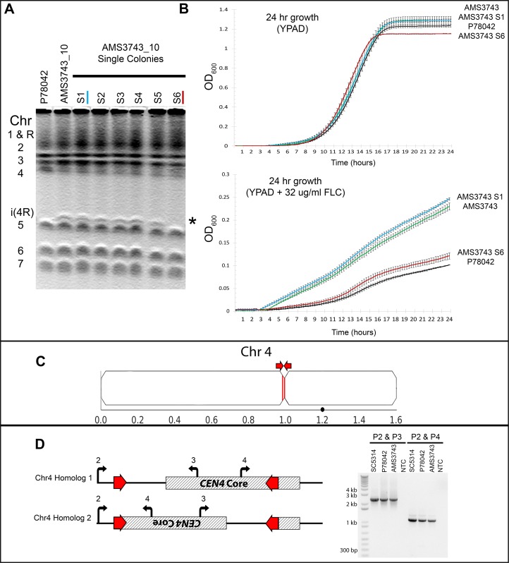 Figure 1—figure supplement 1.