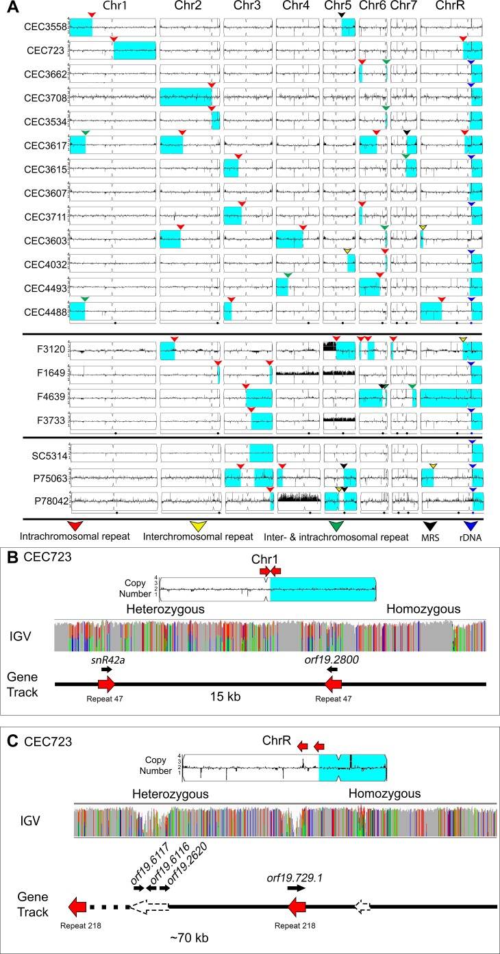 Figure 4.