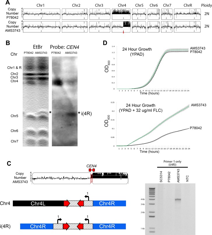 Figure 1.