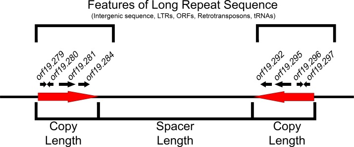 Figure 2—figure supplement 1.