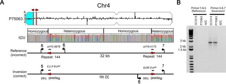 Figure 5.