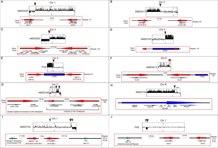 Figure 3—figure supplement 1.