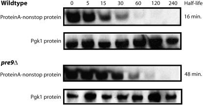 Figure 4.—