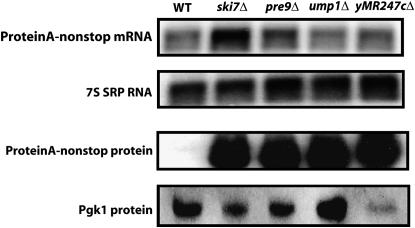 Figure 3.—