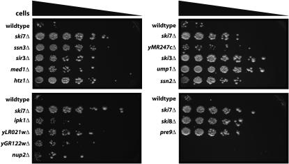 Figure 1.—