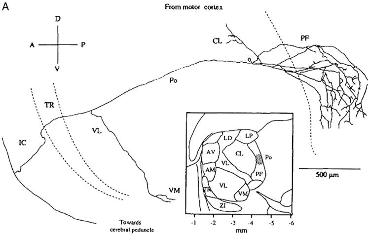 Fig. 10