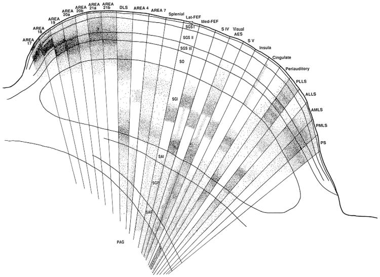 Fig. 11