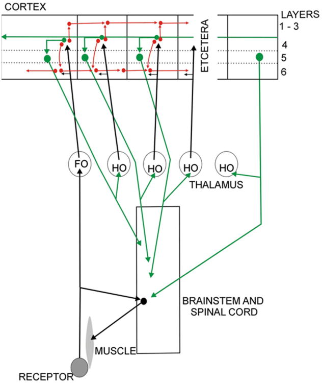 Fig. 12