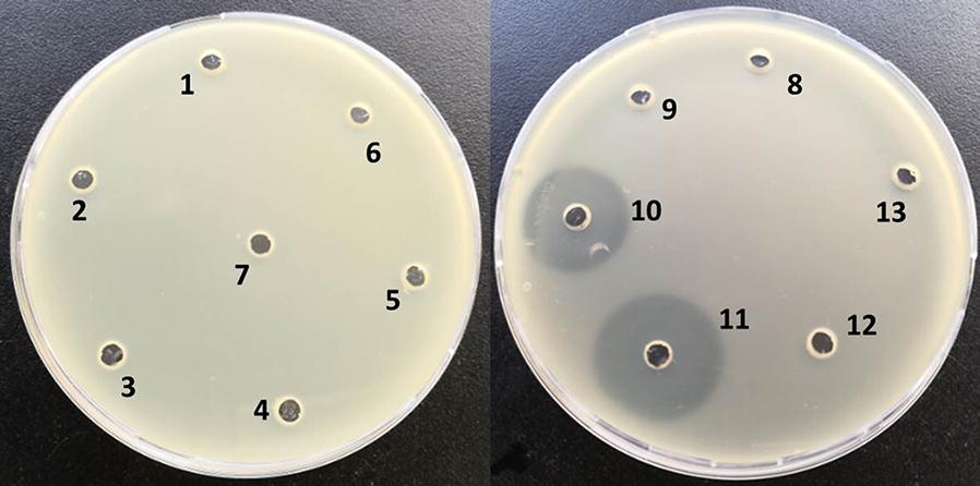 Fig. 2