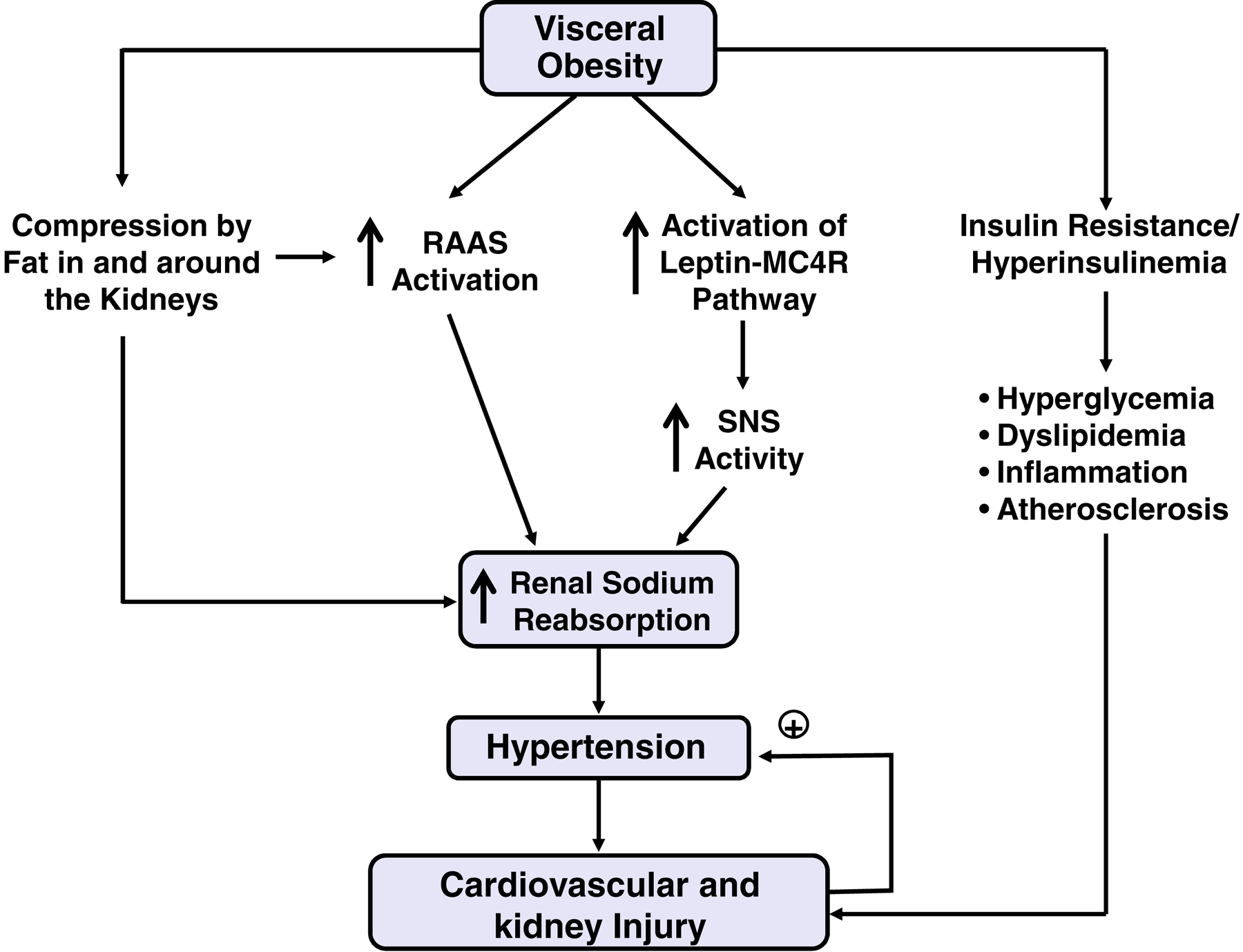 Figure 2 -