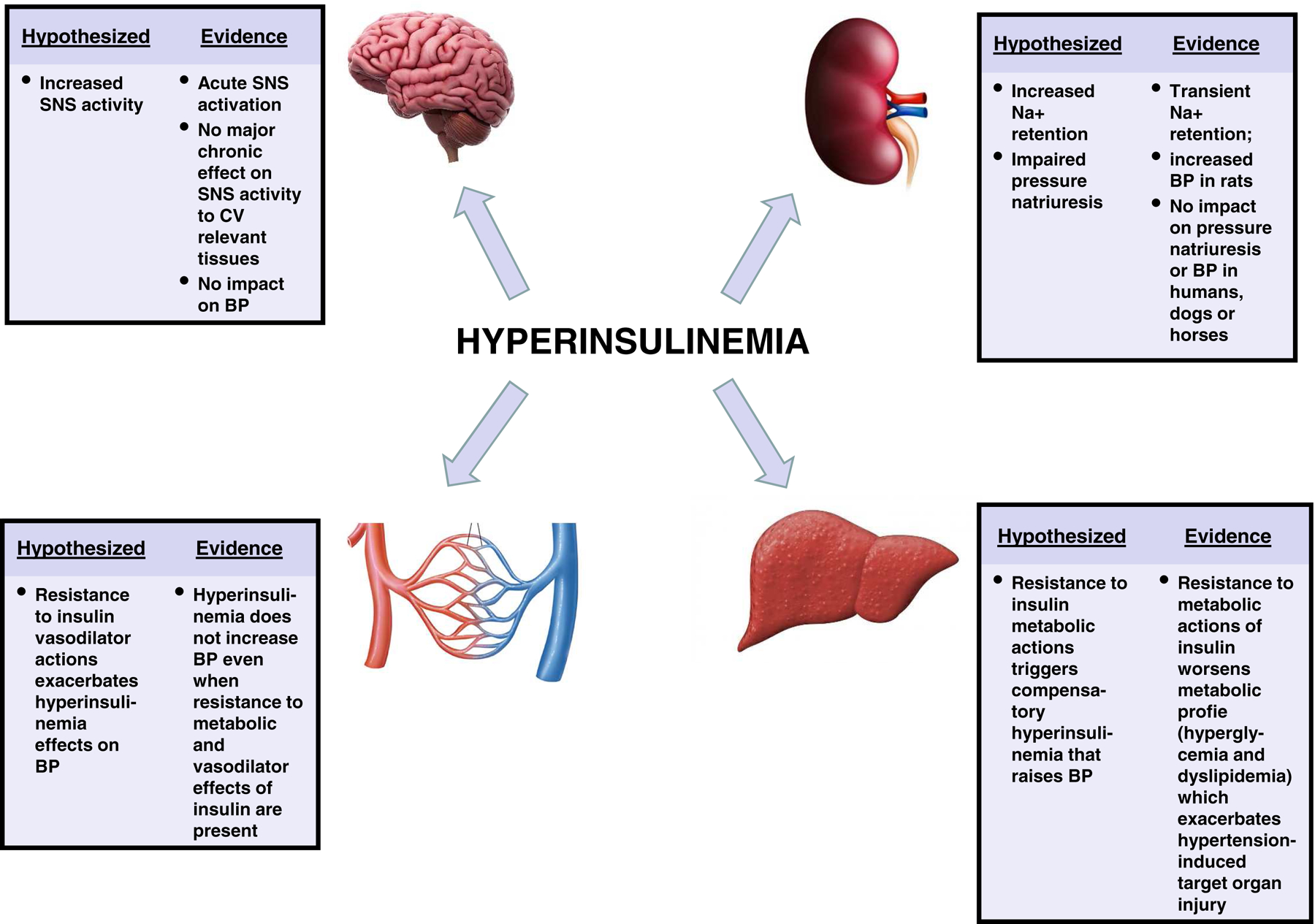 Figure 1 -