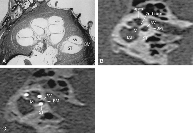 Fig 5.