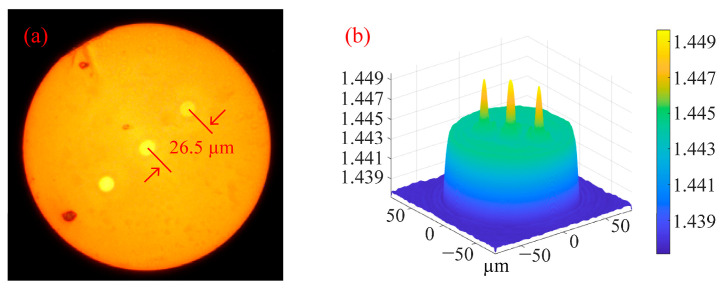 Figure 9