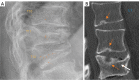 Figure 21