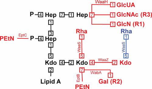 Figure 7