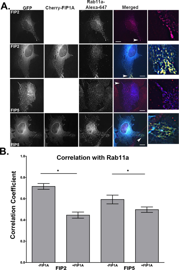 FIGURE 9: