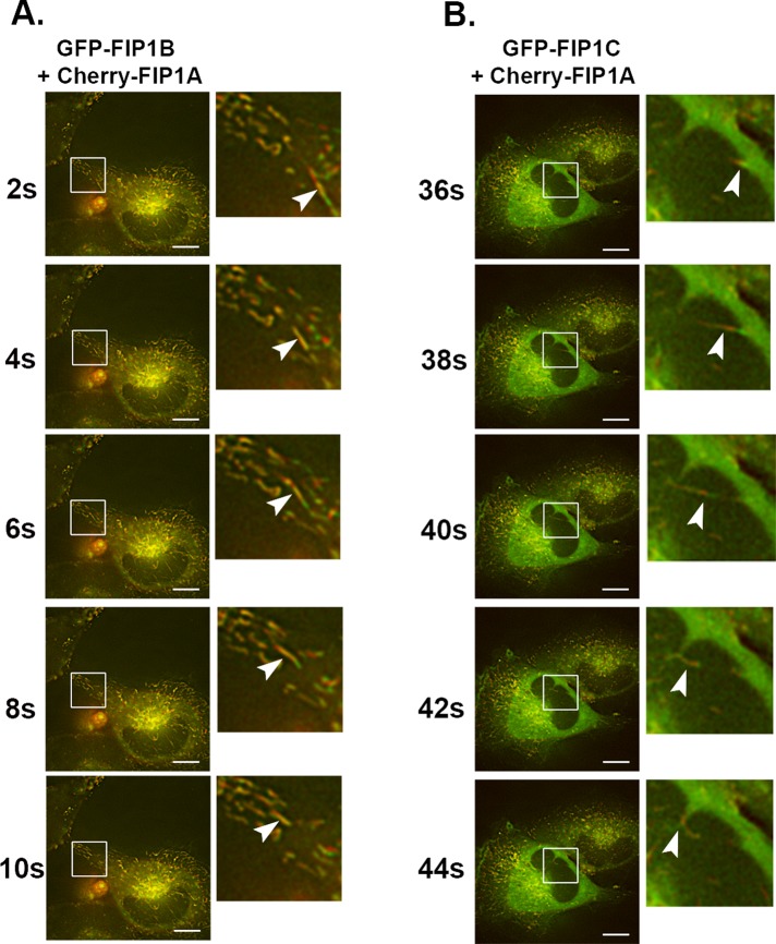 FIGURE 6: