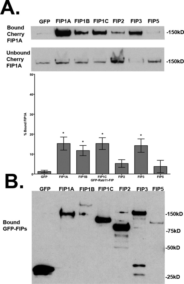 FIGURE 10: