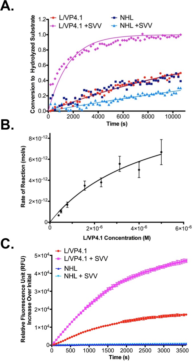 Fig 4