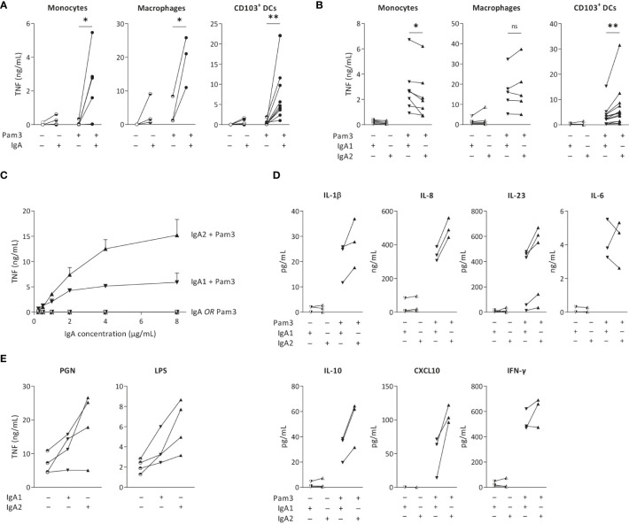 Figure 1