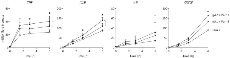 Figure 2