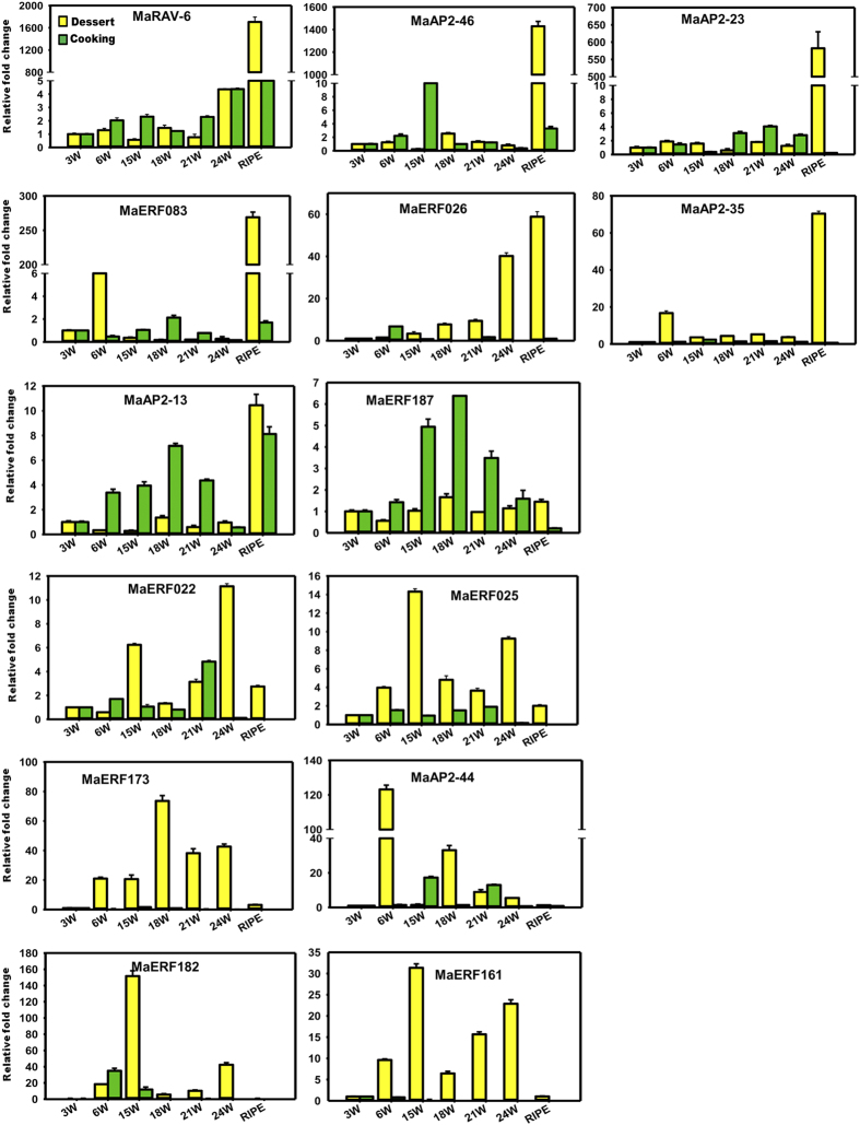 Figure 6