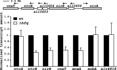 Fig. 6.