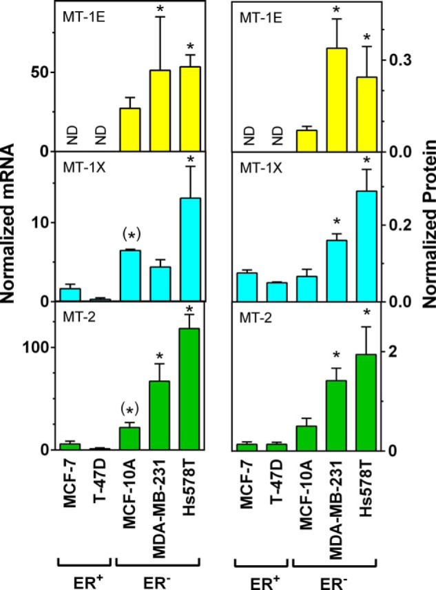 Fig. 8.