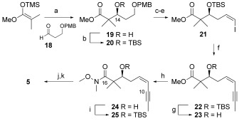 Scheme 4