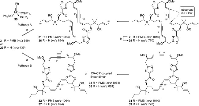 Scheme 6