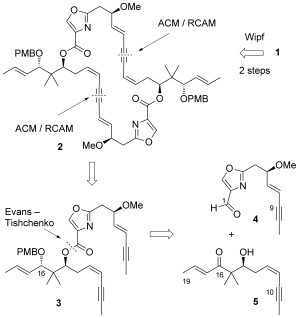 Scheme 1