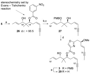 Scheme 5