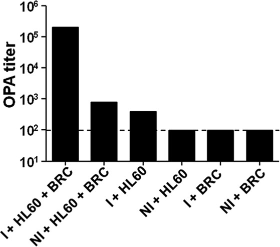 FIG 1