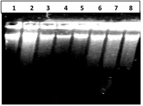 Fig. 10
