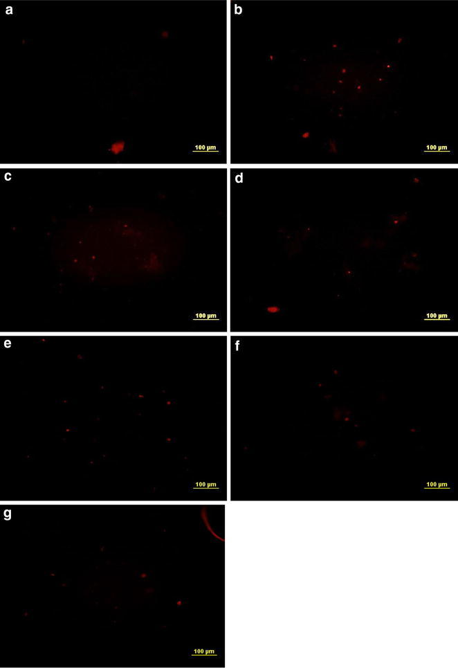 Fig. 7