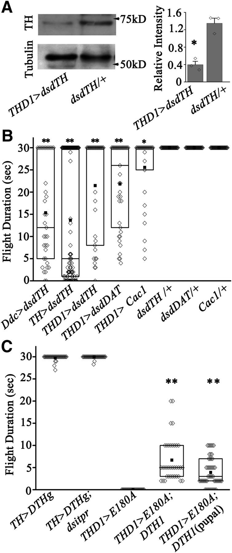 Figure 9.