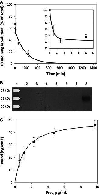 IWJ-12073-FIG-0001-b