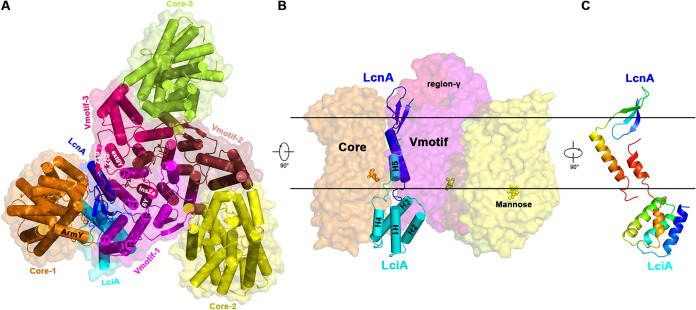 FIG 1