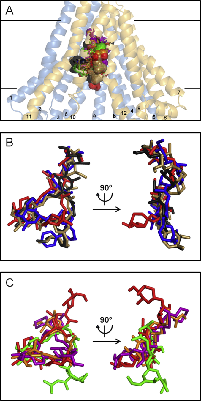 Fig. 2