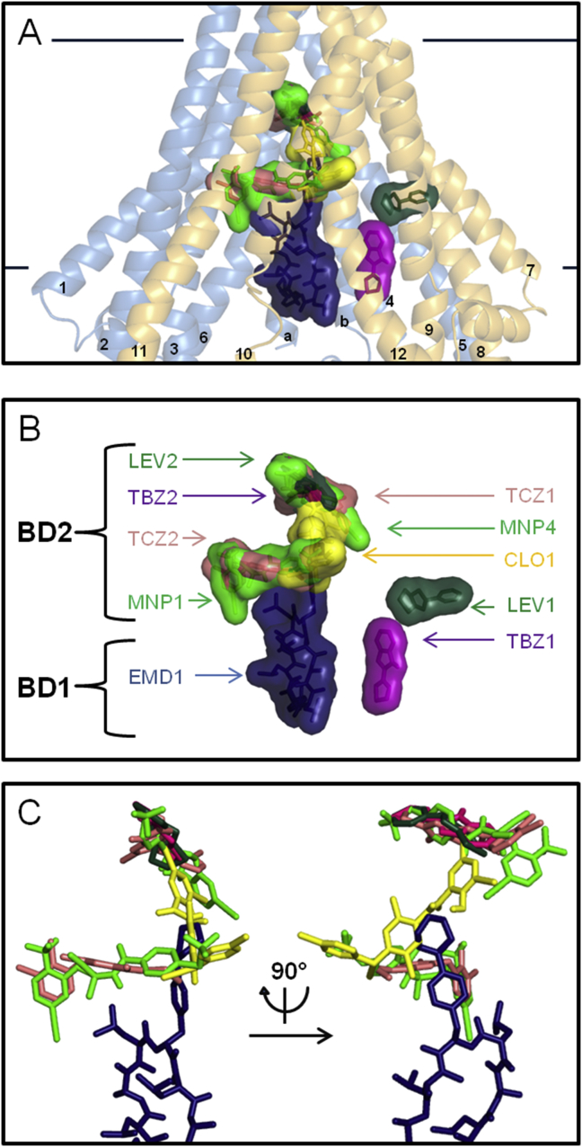 Fig. 4