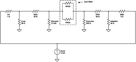 Fig. 2 The electronic circuit model of the pancreaticoduodenal arcade with the theoretical value of the resistance and the voltage.