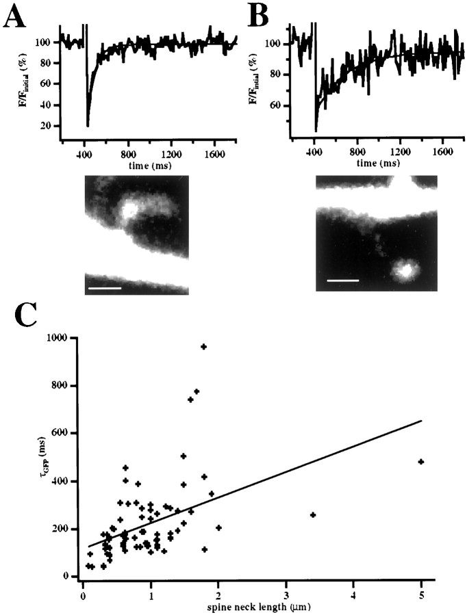 Fig. 2.