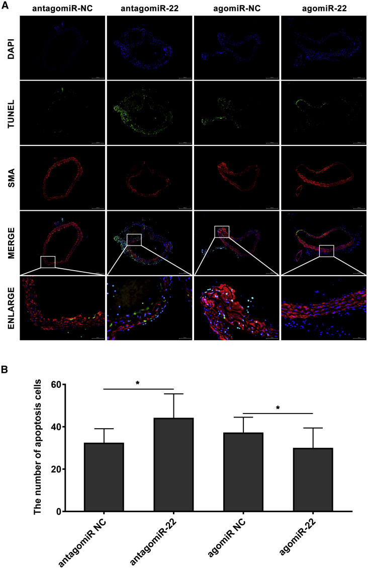 Figure 6