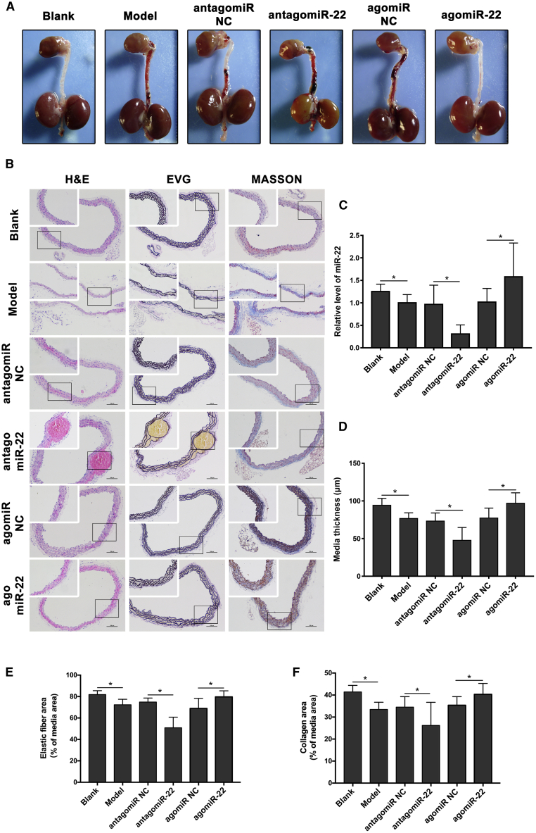 Figure 5