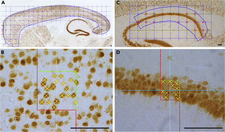 Figure 4