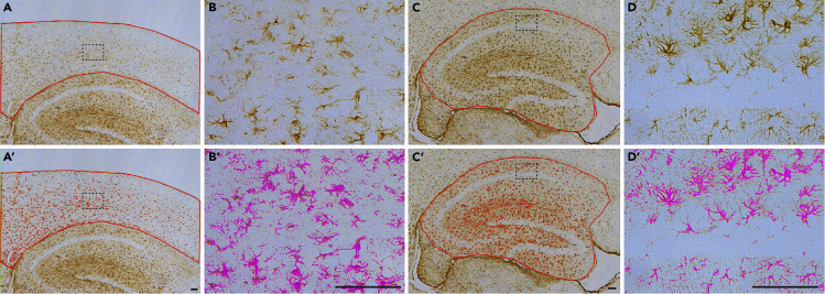 Figure 6