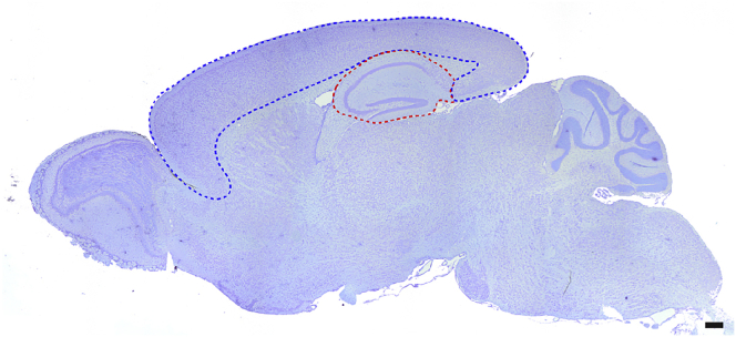 Figure 3