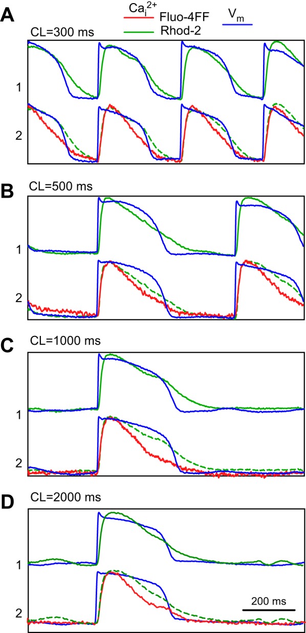 Fig. 2.